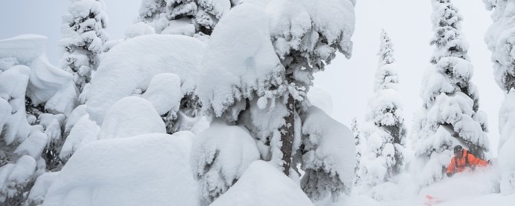 Goed nieuws: La Nina, de Lady of Winter komt eraan!