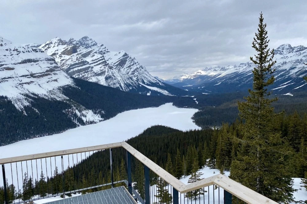 Peyto Lake is een van de hoogtepunten en zeker een stop waard op de Icefields Parkway!