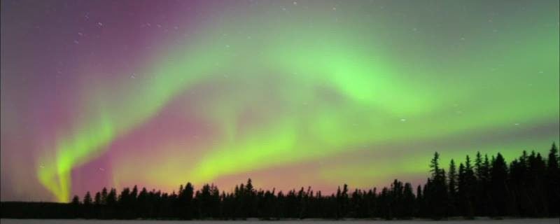 Noorderlicht, óók te zien in Alberta in Canada!