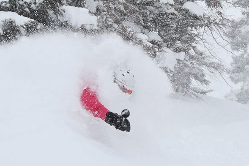 Wintersport vakantie in skigebied Alta, Utah Amerika