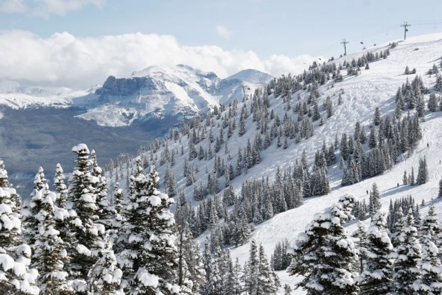 Gratis shuttleservice Jasper-Marmot Basin 3