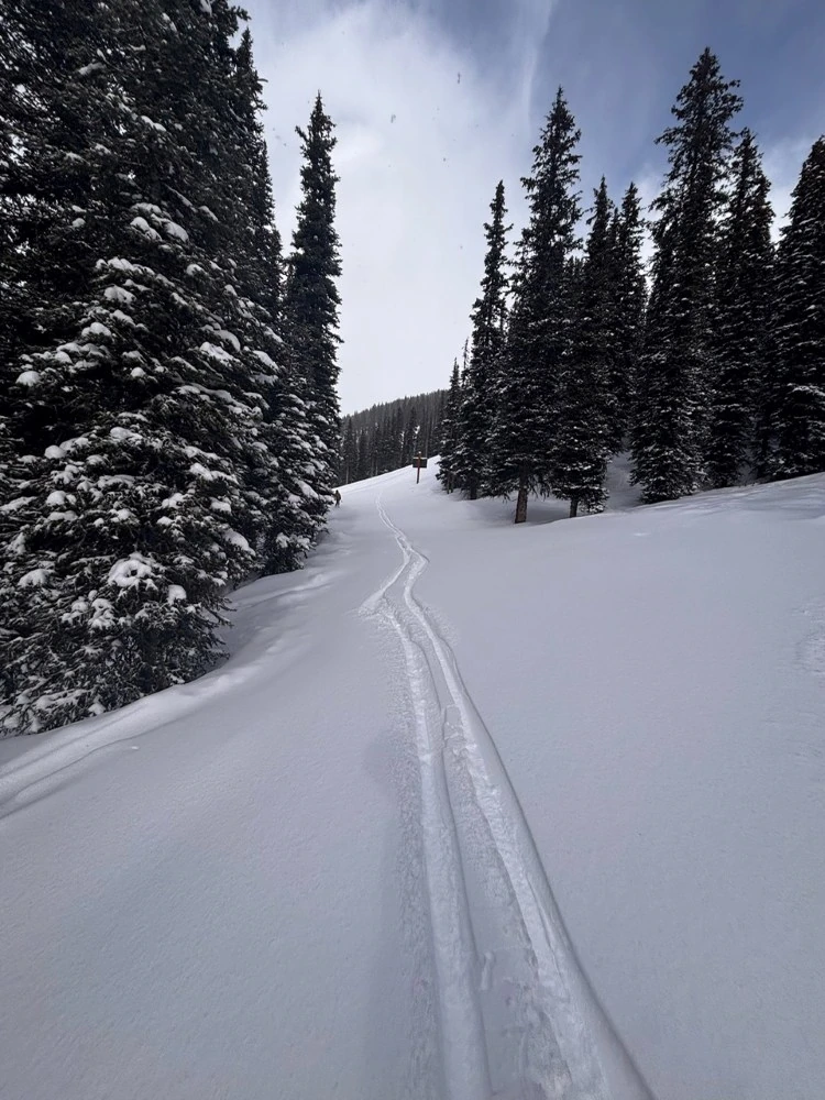 Genieten van verse sneeuw in Canada