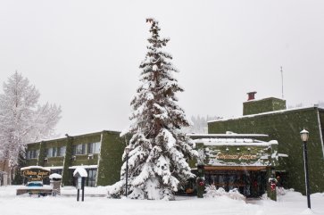 Jasper - Chateau jasper exterior