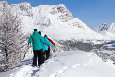 Winter Wildlife snowshoe Lake Louise