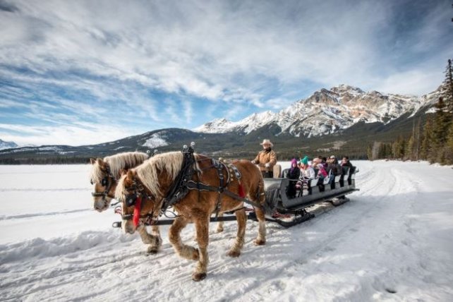 Paardensledetocht over het bevroren Lake Louise Bevroren Lake Louise