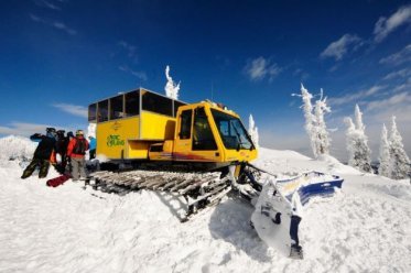 Catski Fernie Catski Fernie