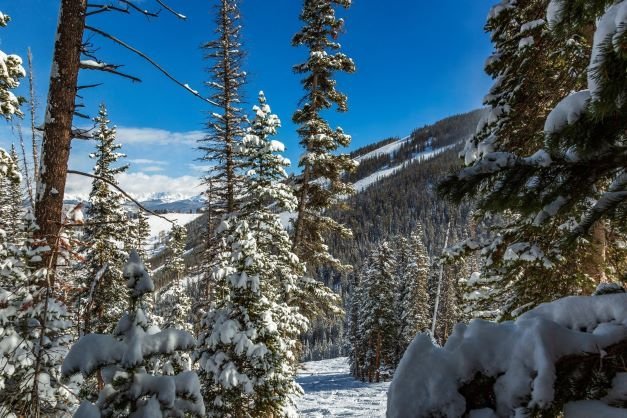 Wintersport in skigebied Beaver Creek in Colorado Amerika