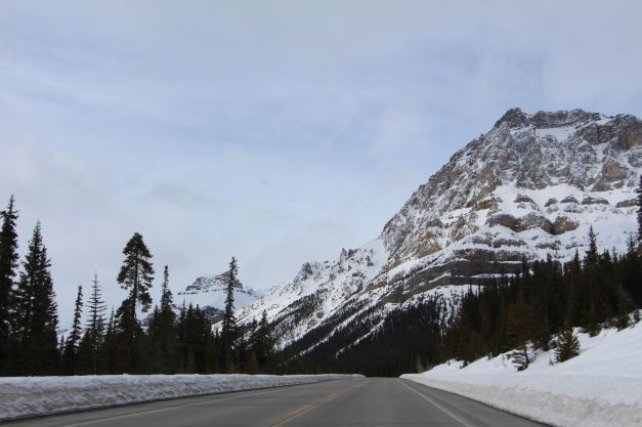 Rij over de mooie icefield parkway Icefield Parkway