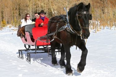 Sleigh Rides Banff