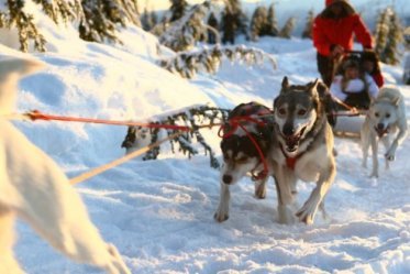 Trapper’s Run in The Callaghan Valley 