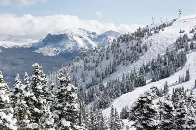 Gratis shuttleservice in het resort van Jasper naar Marmot Basin Gratis shuttleservice Jasper-Marmot Basin 3