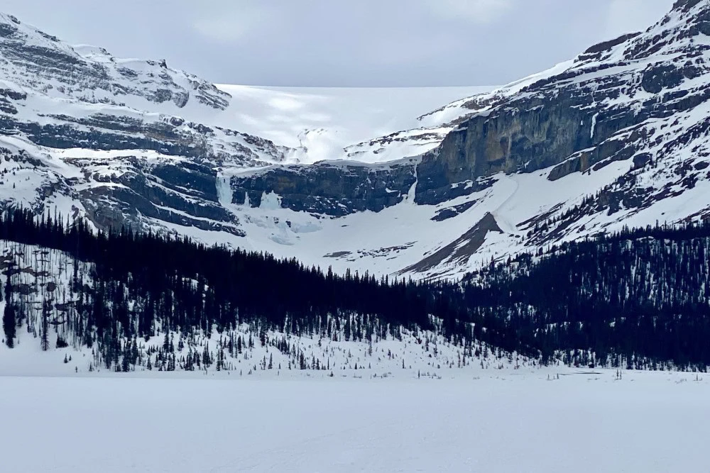 Bow Lake - Icefield Parkway