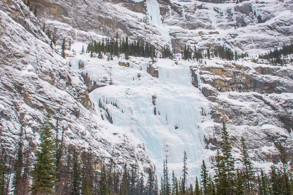 Weeping Wall - Icefield Parkway