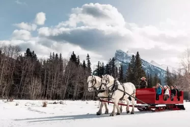 Sleigh Rides Banff Sleigh Rides Banff