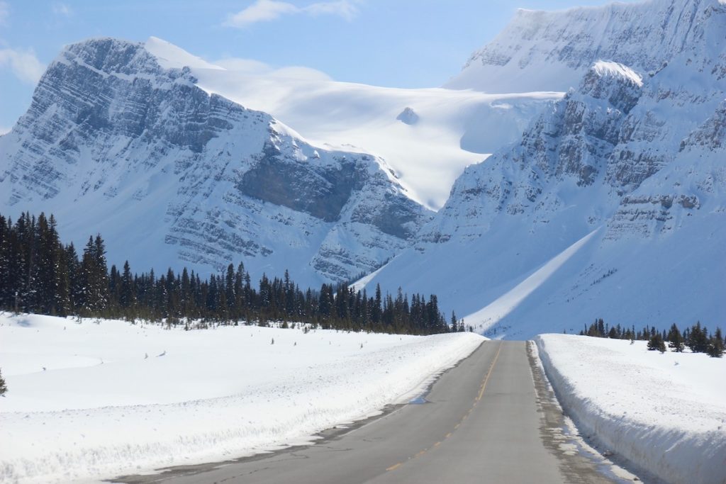 De Icefields Parkway in Alberta Canada wordt vermeld als een van de mooiste wegen ter wereld!