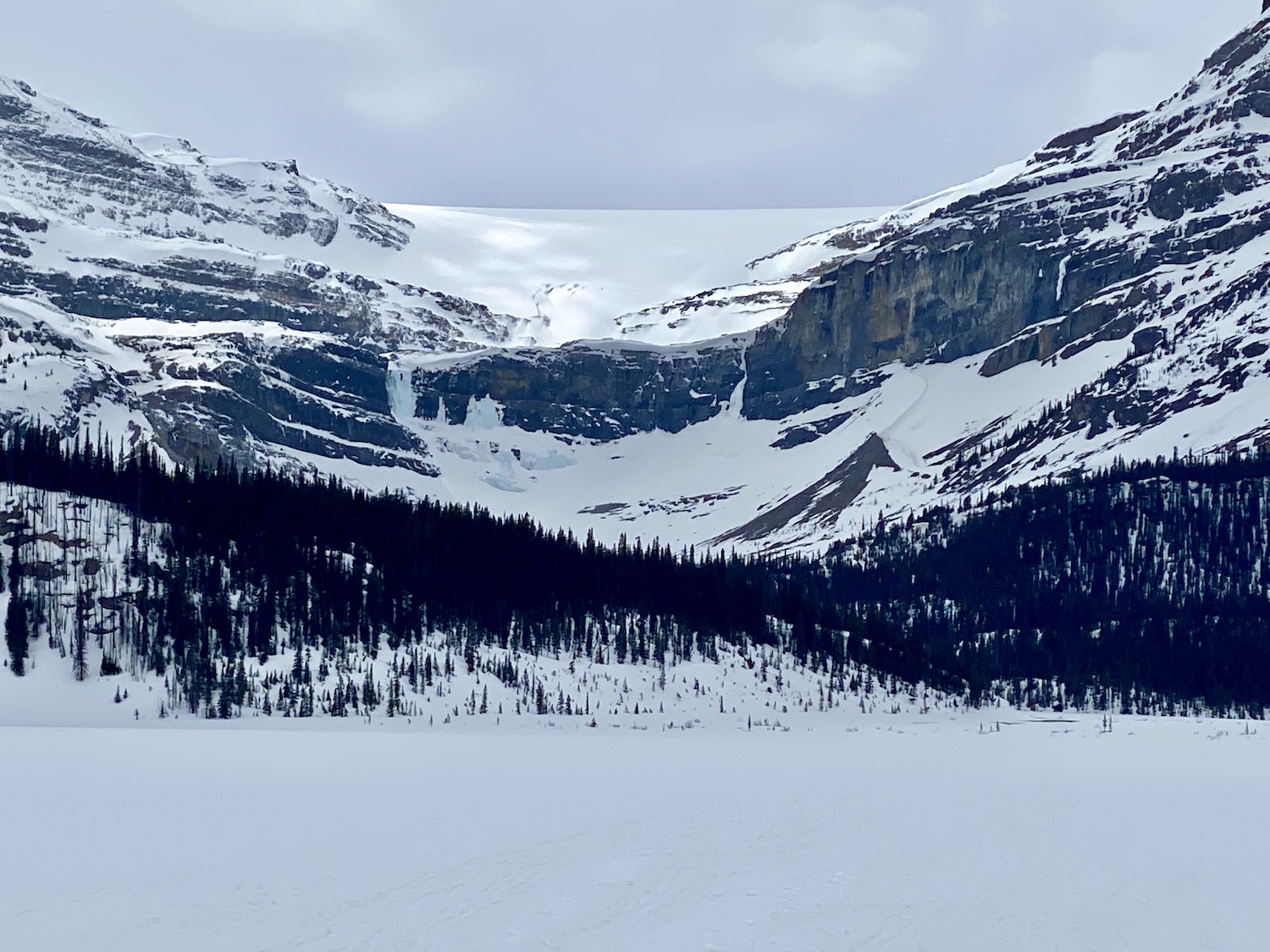 Bow Lake - Icefield Parkway