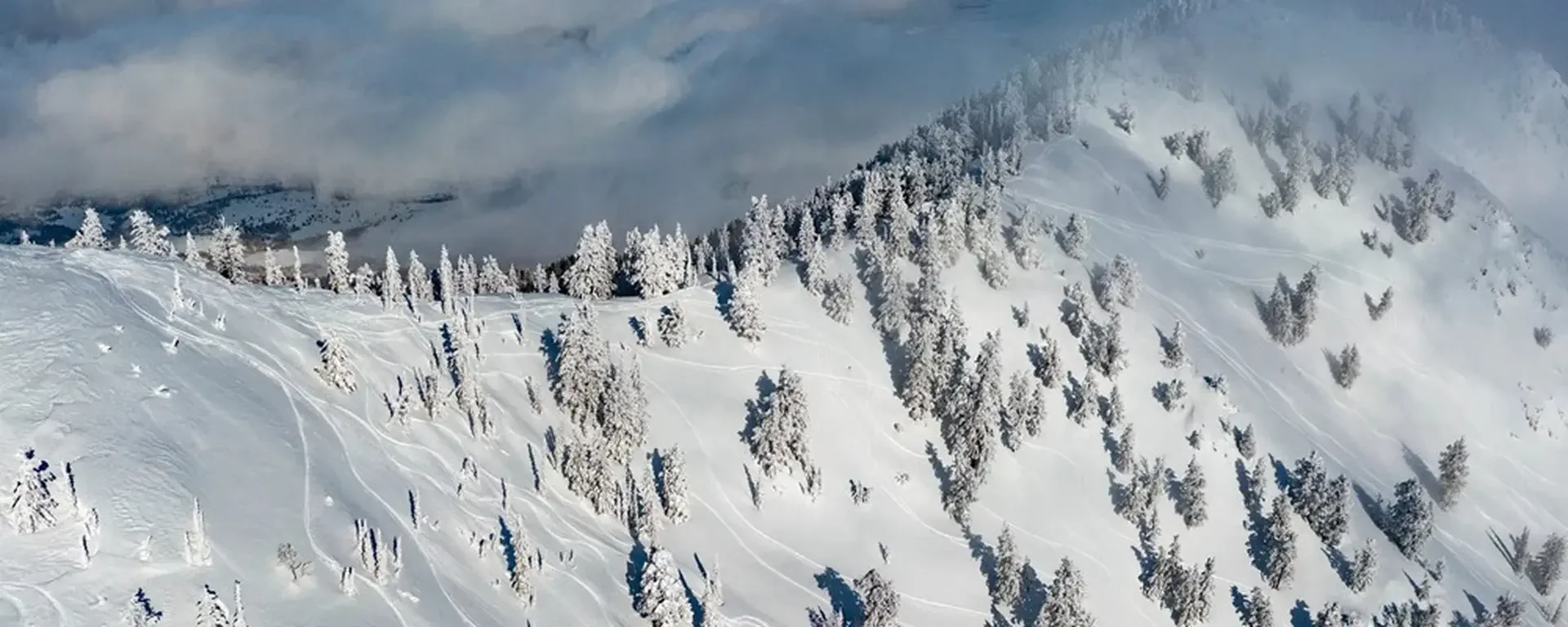 Bijzonder skigebied: Powder Mountain in Utah! Bijzonder skigebied: Powder Mountain in Utah!-1737027306