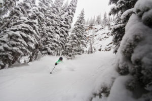 Wintersport in Canada of Amerika, leer de skitermen voor je skivakantie zoals Glades