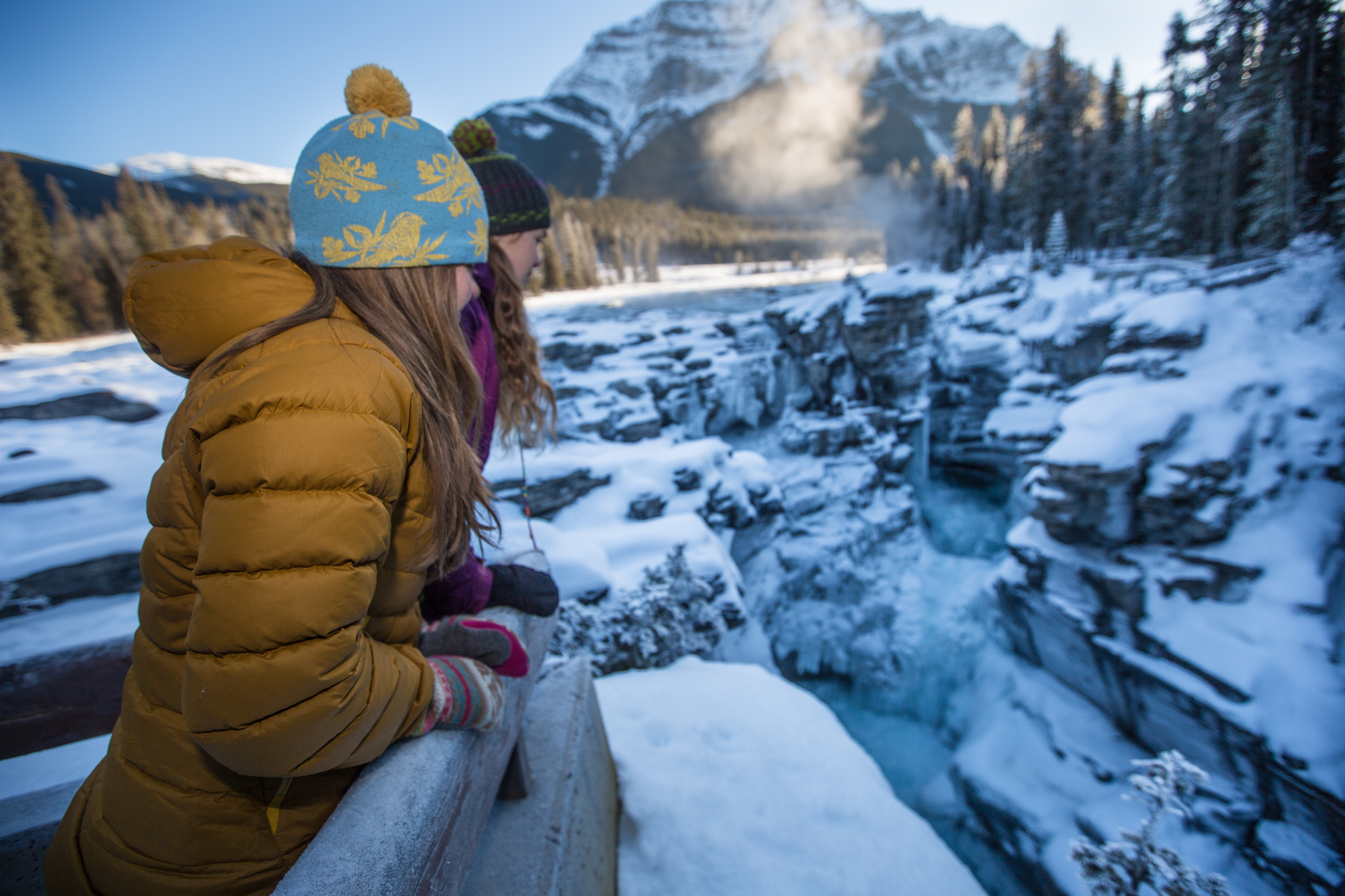 Athabasca Falls - Icefield Parkway