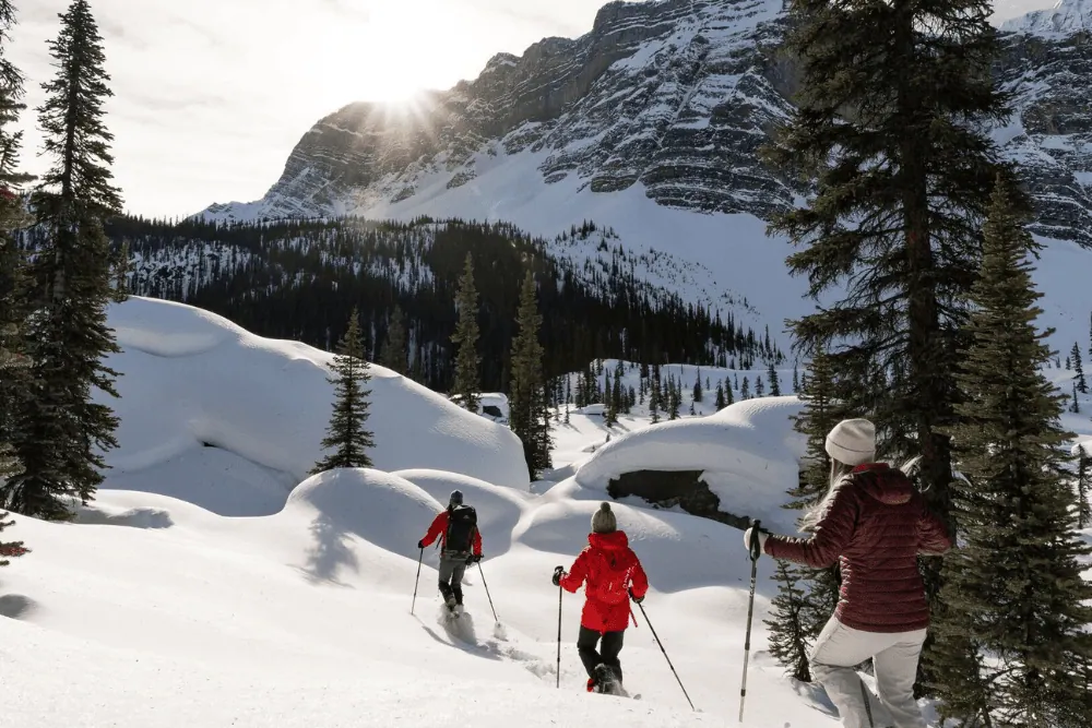 Ga met een gids op sneeuwschoenen op pad bij Lake Louise