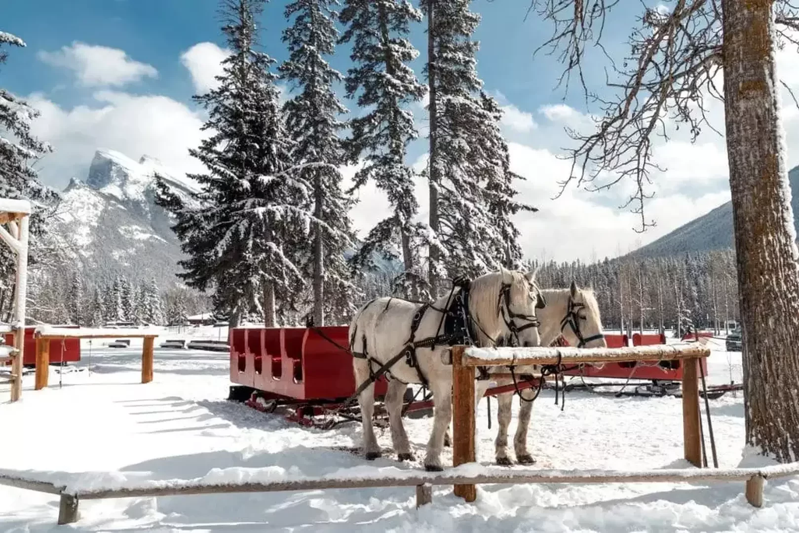 Sleigh Rides Banff