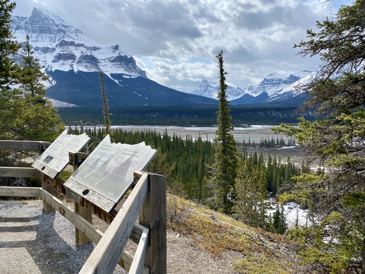 Howse Pass - Icefield Parkway