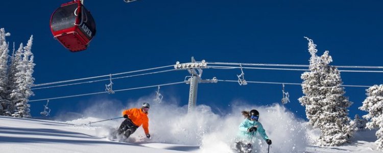 Aspen wordt 75 jaar en trakteert