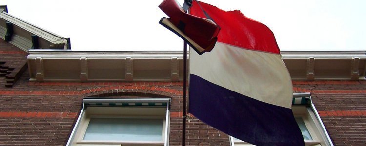 Joepie, geslaagd! En wat nu? Joepie, geslaagd! En wat nu?
