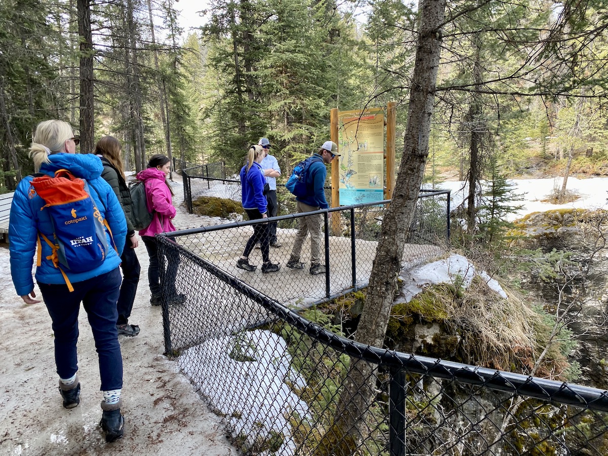 De Maligne Canyon is in ieder jaargetijde prachtig, in de winter is het indrukwekkend