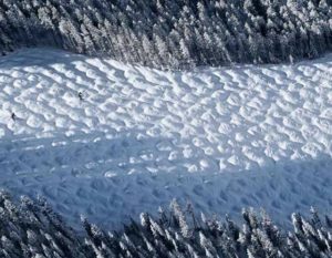Wintersport in Canada of Amerika, leer de skitermen voor je skivakantie zoals Moguls