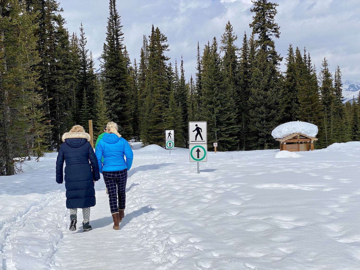 Peyto Lake - Icefield Parkway