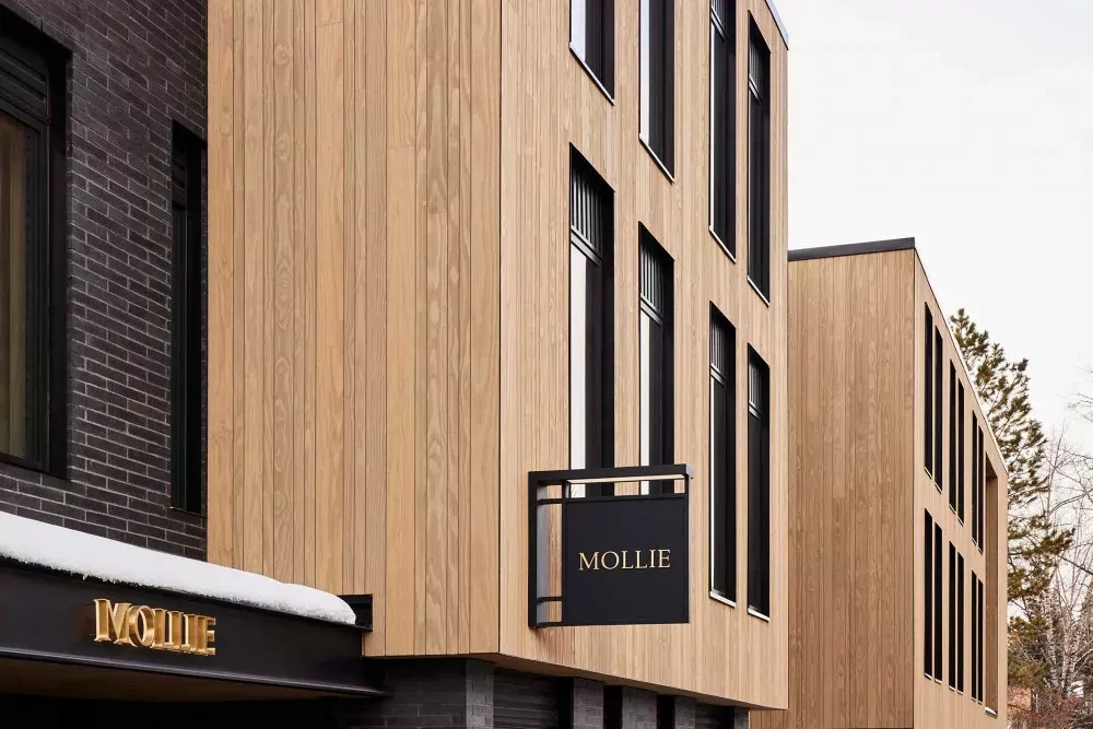 Aspen Mollie Aspen exterior