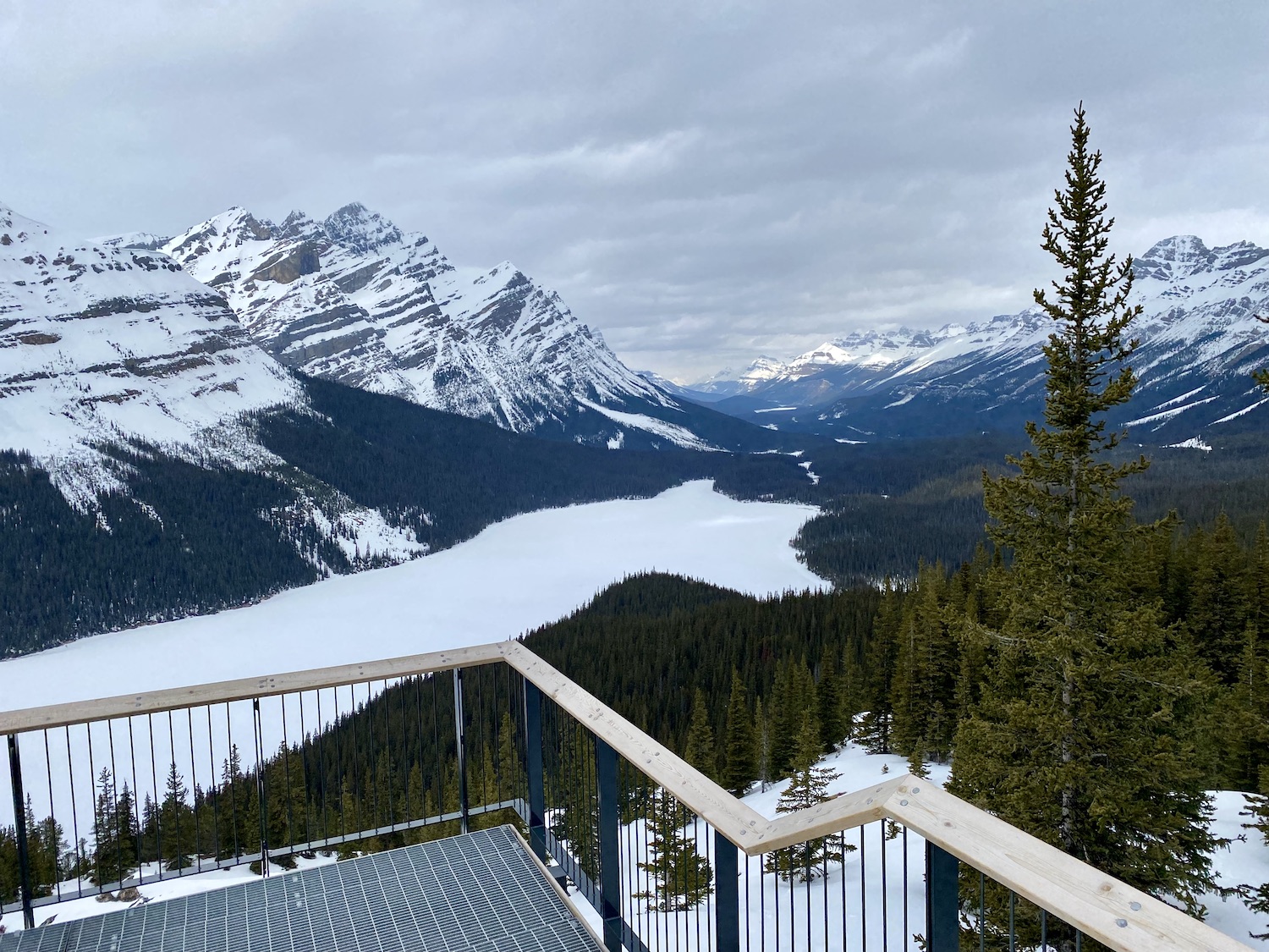 Peyto Lake is een van de hoogtepunten en zeker een stop waard op de Icefields Parkway!