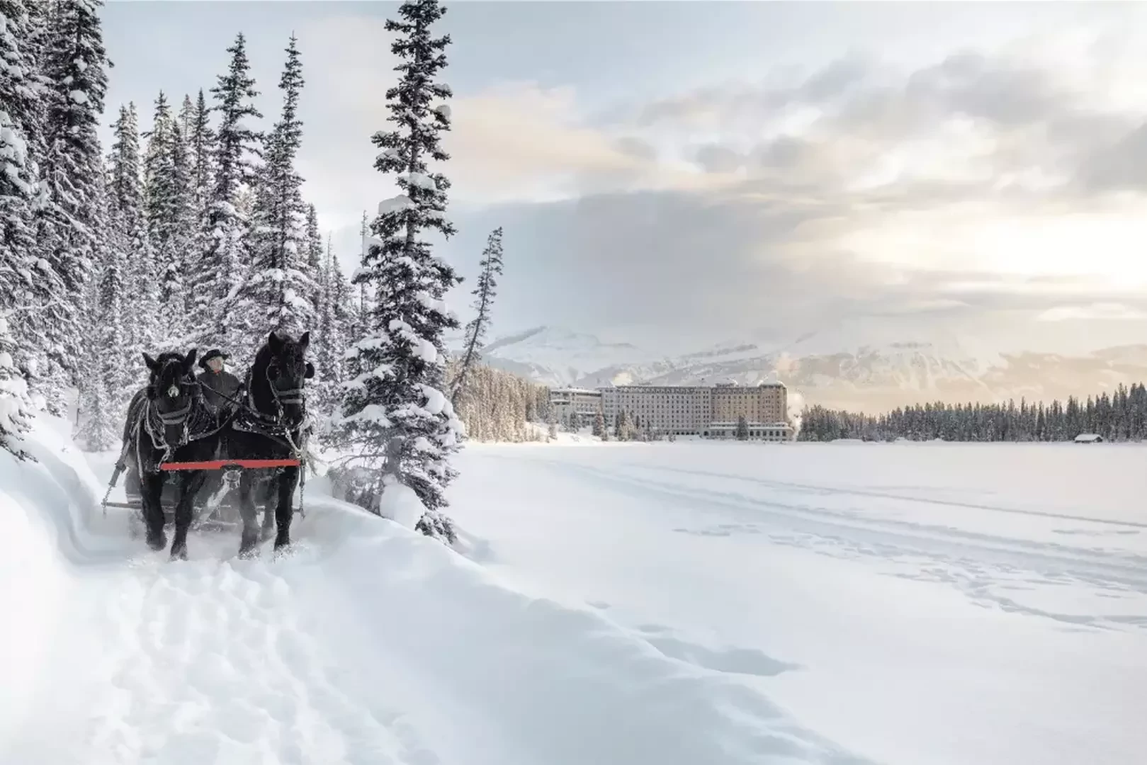 Paardensledetocht bij Fairmont Lake Louise