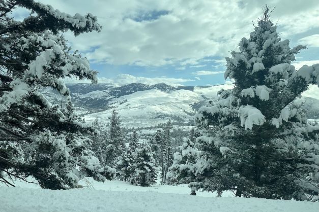 Prachtig winter wonder land in Yellowstone National Park