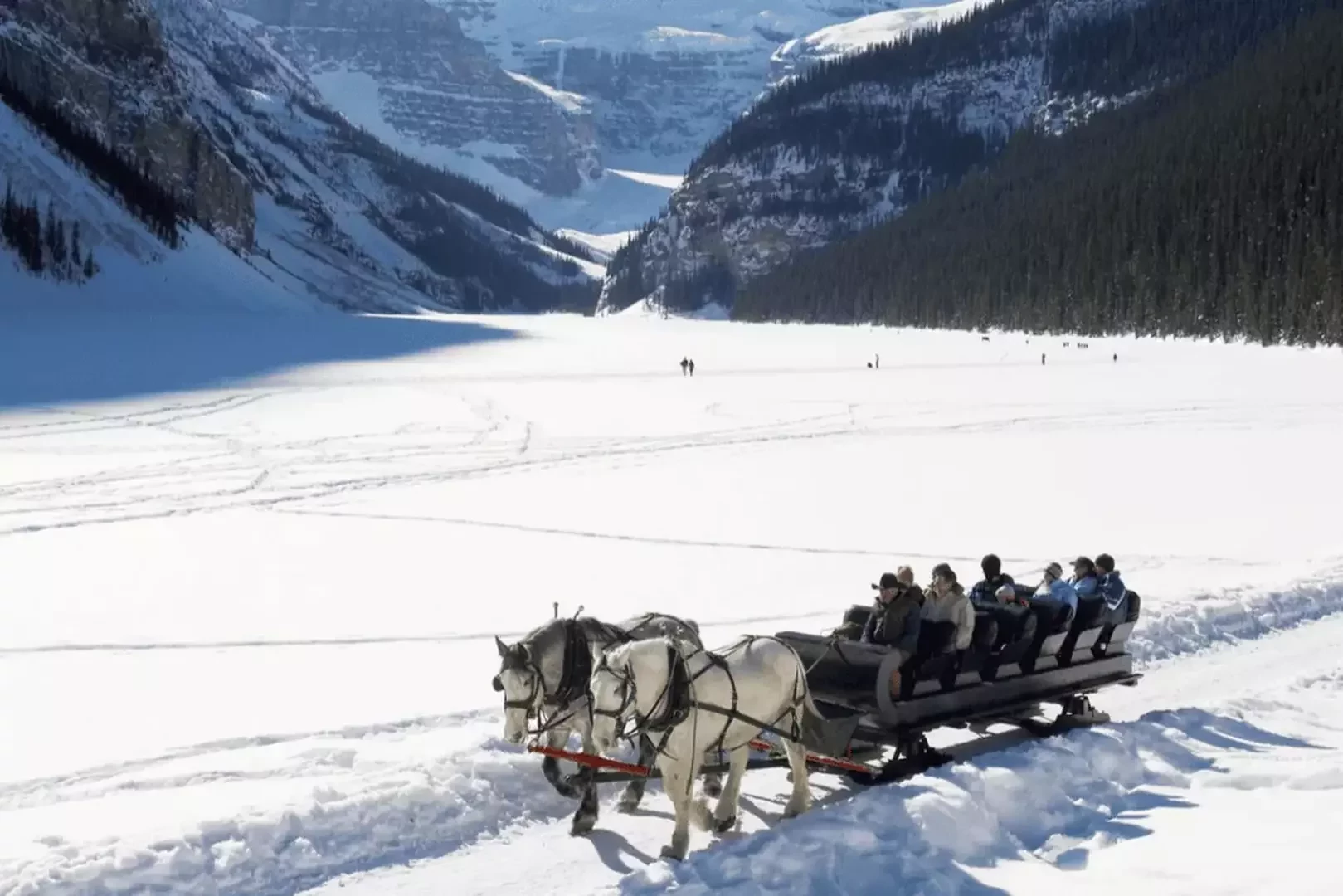 Paardensledetocht Lake Louise