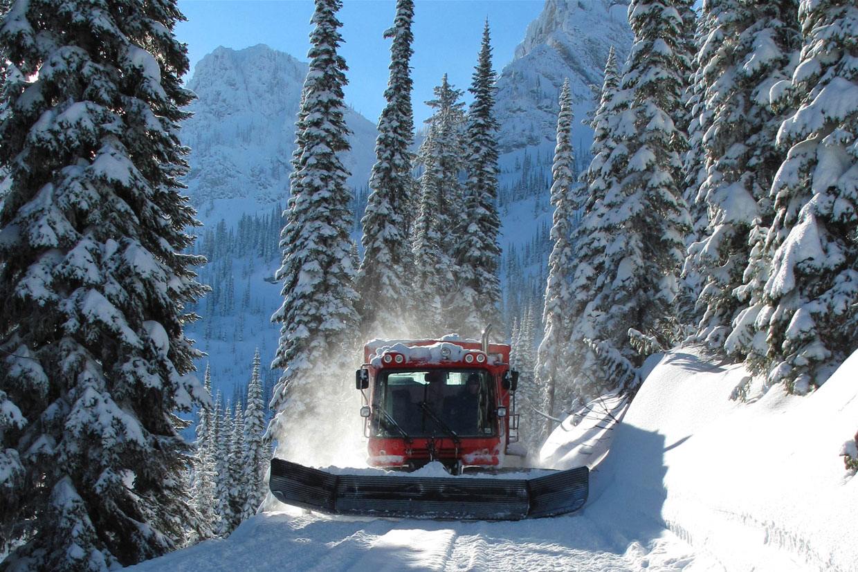 Catskiën doe je het beste in Canada waar er talloze mogelijkheden zijn voor een perfecte wintersport