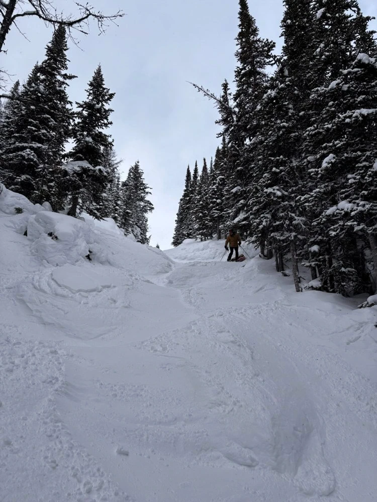 Buckels pistes zijn pittig, maar erg leuk