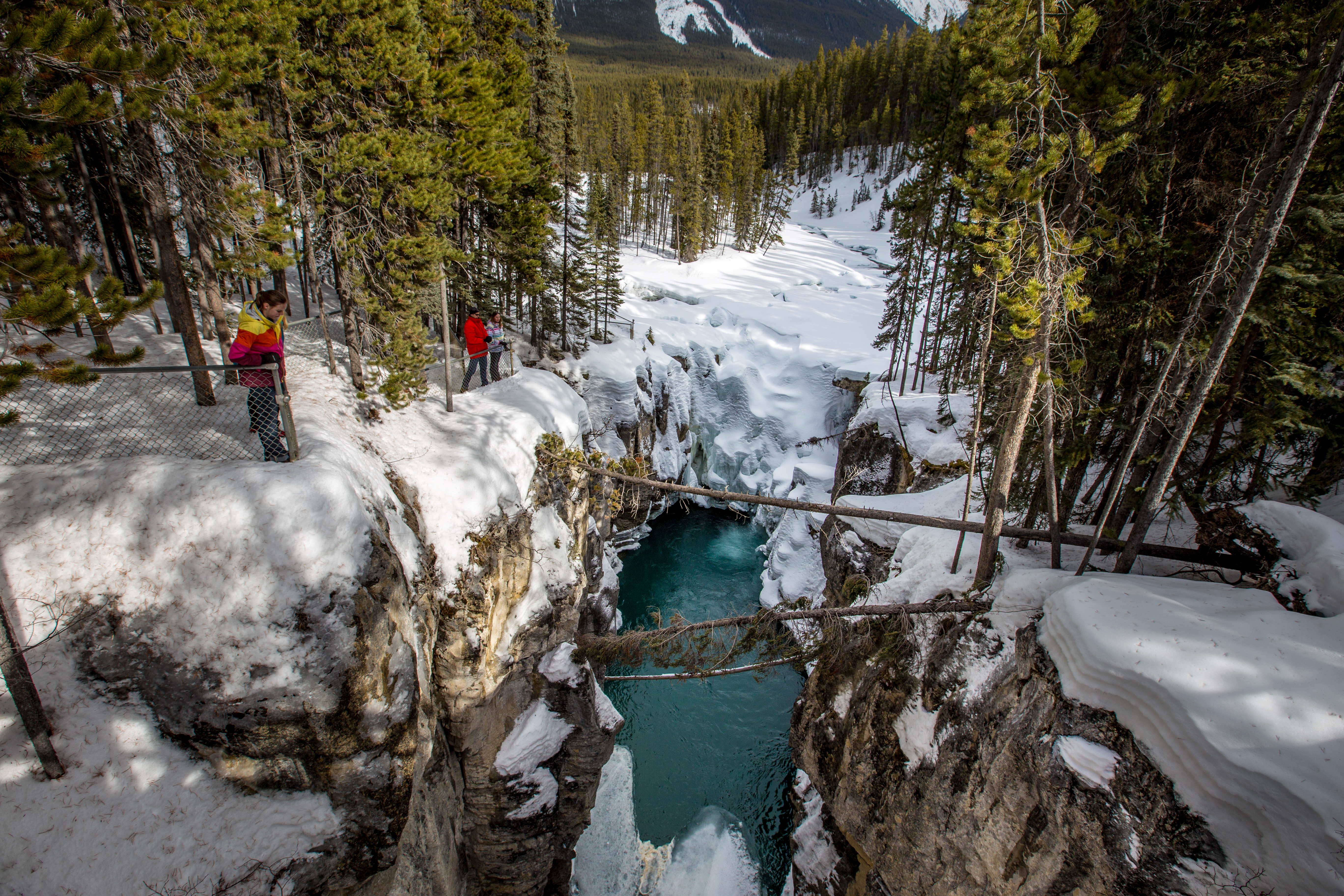 Sunwapta Falls - Icefield Parkway