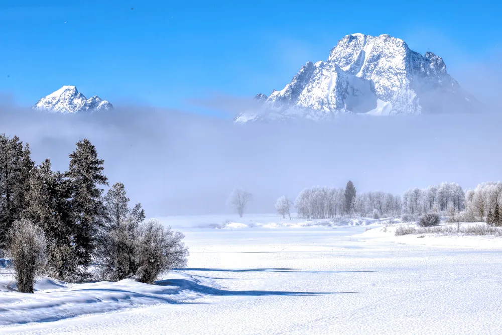 Ontdek op sneeuwschoenen de backcountry van Yellowstone