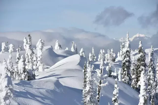 Skien of snowboarden in Fernie? Boek op tijd je liftpas Vroegboekkorting liftpas Fernie 3