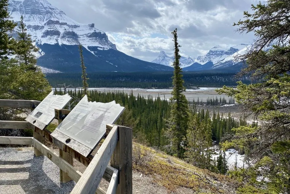 Howse Pass - Icefield Parkway