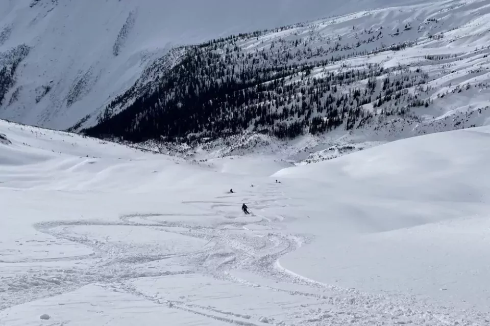 Skigebied Panorama heli-skiën Skigebied Panorama heli-skiën