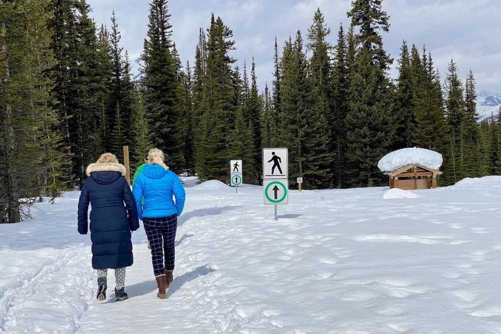 Peyto Lake - Icefield Parkway