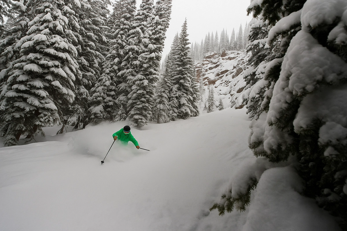 Wintersport in Canada of Amerika, leer de skitermen voor je skivakantie zoals Glades