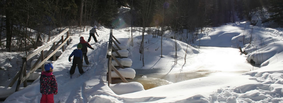 Stad Edmonton in Alberta kun je uitstekend combineren met een wintersportvakantie in Jasper Canada