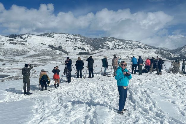 Vergezeld van camera, verrekijker en telelens banen we ons door de sneeuw om wildlife te spotten in Yellowstone National Park