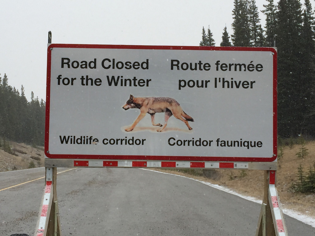 Wees goed voorbereid als je met je huur auto rijdt op de Canadese en Amerikaanse wegen