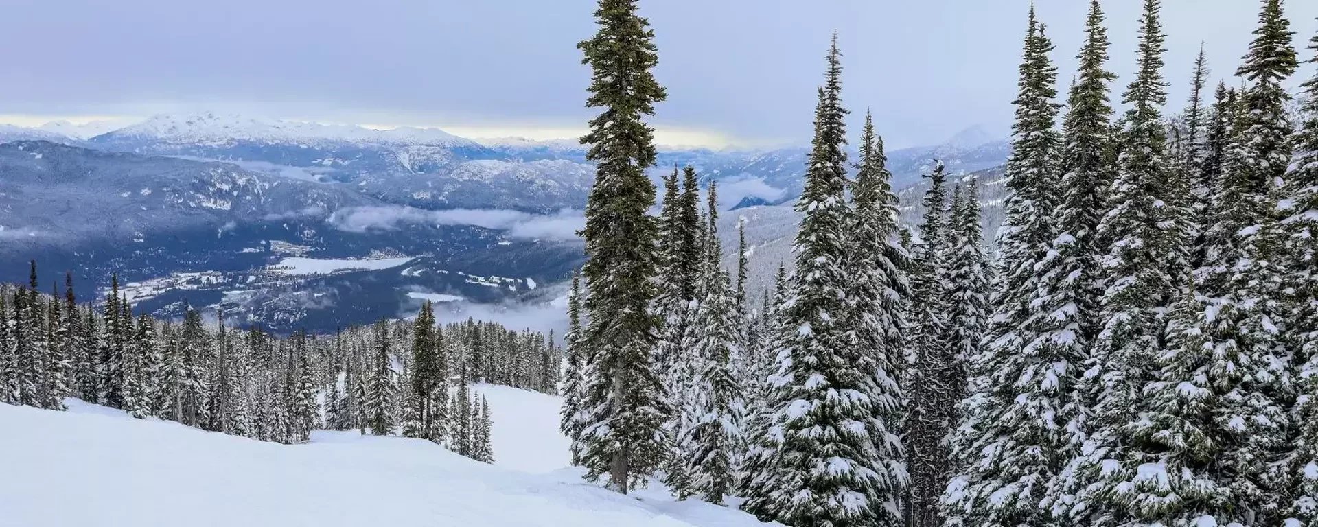 Is skiën in Whistler duur? Zo bespaar je op je reis Is skiën in Whistler duur? Zo bespaar je op je reis