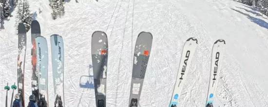 Reisverslagen